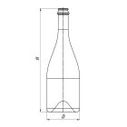 Sparkling Shabo 750 - oliva